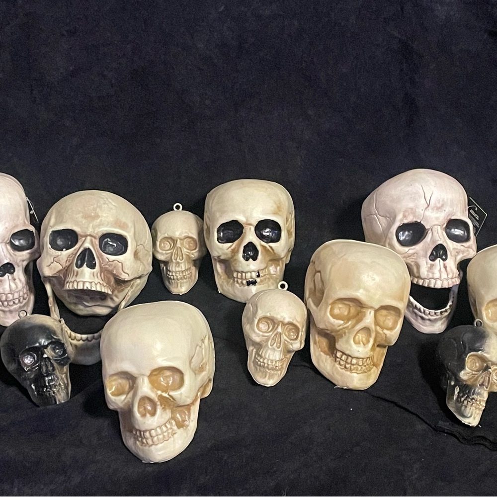 Various size skeleton heads